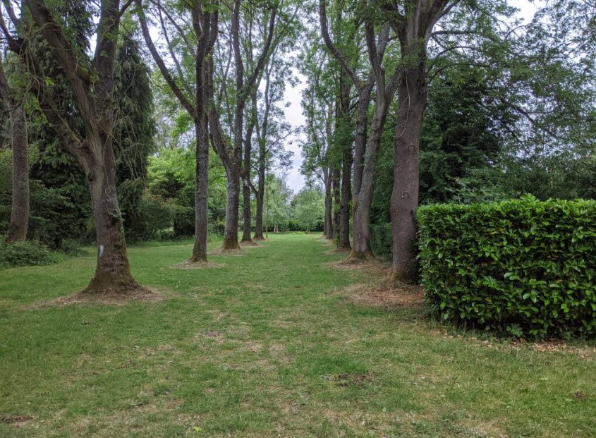 National Trust - Whipsnade Tree Cathedral, United Kingdom